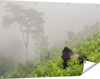 Gards Tuinposter Gorilla in het Woud tijdens de Mist - 120x80 cm - Tuindoek - Tuindecoratie - Wanddecoratie buiten - Tuinschilderij
