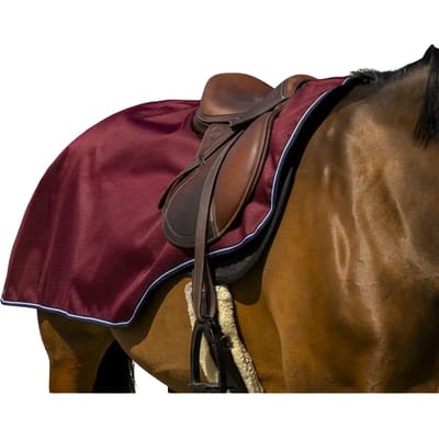 Fleece paardendekens Equithème Tyrex 1200D