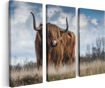 Artaza Canvas Schilderij Drieluik Schotse Hooglander Koe - Kleur - 120x80 - Foto Op Canvas - Canvas Print