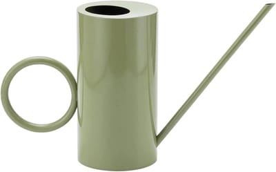 Gieter met Lange Uitloop - Waterkruik Plantenspuit - Planten Water Geven - Roestvrij Staal - 1500 ml - Groen