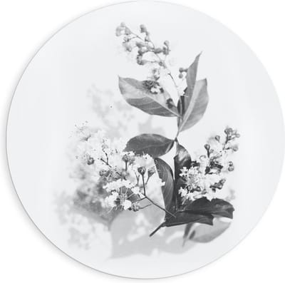 Forex Wandcirkel - Zwart Wit Foto van bloemen  - 90x90cm Foto op Wandcirkel (met ophangsysteem)