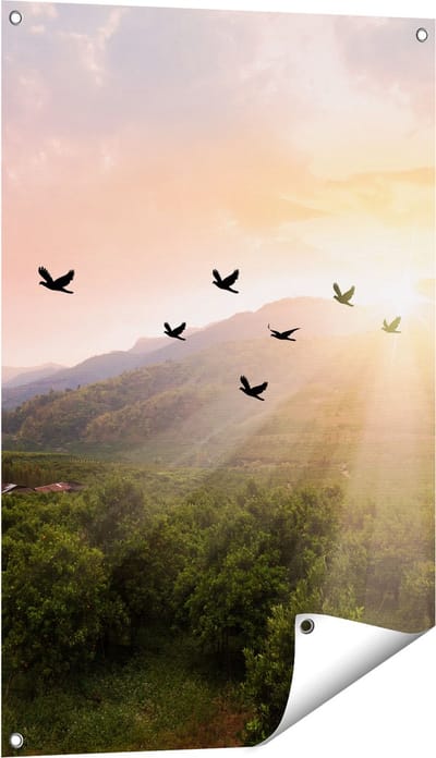 Gards Tuinposter Silhouet Zwerm Vogels bij Zonsondergang - 60x90 cm - Tuindoek - Tuindecoratie - Wanddecoratie buiten - Tuinschilderij