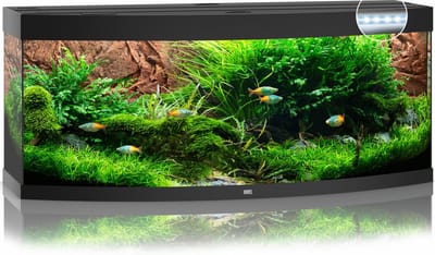 Juwel Vision 450 LED Aquarium - Zwart - 450L - 151 x 61 x 64 cm