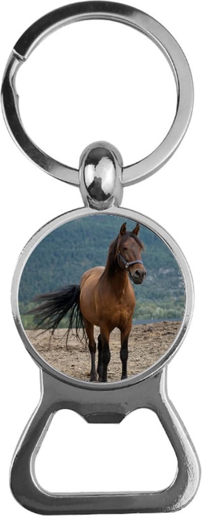 Bieropener Glas - Paard