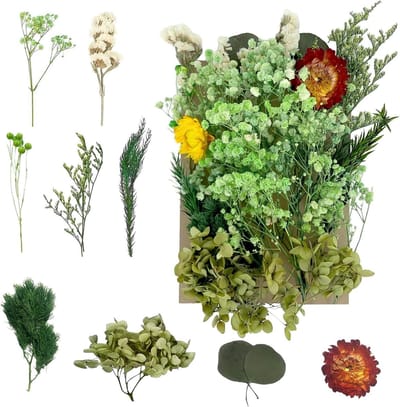 Gedroogde Bloemen en Geperste Bloemen voor DIY Kunst, Resin, Scrapbooking en Sieraden Decoraties (Groen)