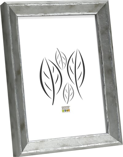 Deknudt Frames fotolijst S46DD1 - zilver met biesje - foto 20x25 cm