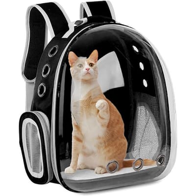 Kat Huisdier Draagrugzak Transparante Capsule Bubble Huisdier Rugzak Klein Dier Puppy Kitty Vogel Ademend Huisdier Draagzak voor Reizen