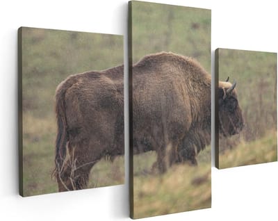 Artaza Canvas Schilderij Drieluik Bizon in het Gras - 90x60 - Foto Op Canvas - Canvas Print