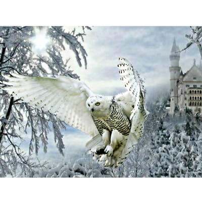 Diamant Borduurwerk Uil Volledige Ronde Diamant Schilderij Winter Dier Kruissteek Kristal Kraal Foto 20X30CM gray