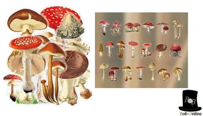 Bob Online™ - 40 Stuks – PET - Transparant Paddenstoel Stickers – Paddenstoelen Journal & Scrapbook Stickers, Vintage Plakboek - Stickers voor DIY Journal Album Decoratie Paddenstoelen Stickers – 40 Pieces – Mushroom Stickers – Toadstool Stickers