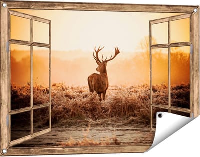 Gards Tuinposter Doorkijk Hert in de Wei tijdens de Zonsopkomst - 90x60 cm - Tuindoek - Tuindecoratie - Wanddecoratie buiten - Tuinschilderij