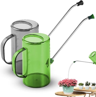 Gieter - 2 stuks - RVS Gieter met lange tuit - Gieter voor kamerplanten - 1 liter - Geschikt voor buitenplanten, tuinieren, hangplanten, vetplanten, bloemen - Groen en grijs
