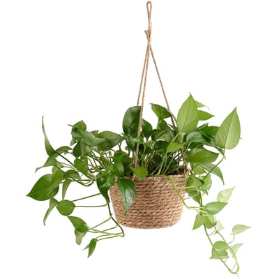Geweven Bloemenmand Rustieke Retro Stijl Bruine Kleur Decoratieve Multifunctionele Stro Mand voor Kantoor beige