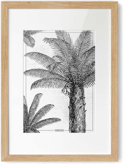 Fabrikten Poster Kokospalm - Zwart/Wit - A4