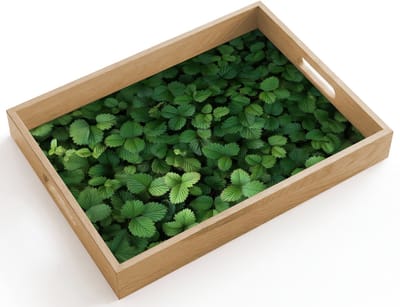Dienblad hout 40x30 cm - Schootdienblad - Groen - Bladeren - Kartel - Zonlicht - Borrelplank rechthoek - Plateau dienbladen