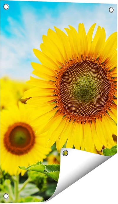 Gards Tuinposter Zonnebloemen Veld - 40x60 cm - Tuindoek - Tuindecoratie - Wanddecoratie buiten - Tuinschilderij