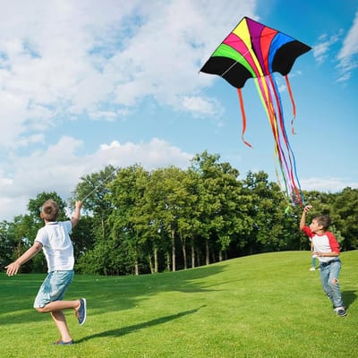 Set van 2 Kindervliegers - Grote Enkle Vliegers Voor Kinderen Vanaf 3 Jaar, 140 x 75 cm, Kleurrijke Hangvlieger Met 100 m Vliegkoord En 8 Kleurrijke Staarten Van 200 cm