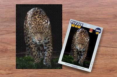 Puzzel Jaguar - Zwart - Gras - Legpuzzel - Puzzel 1000 stukjes volwassenen