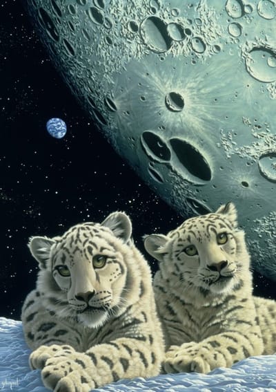 Grafika puzzel Schim Schimmel - Lair of the Snow Leopard - 1500 stukjes dieren.