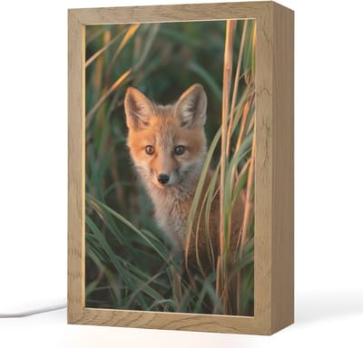 Nachtlampje 20x30 cm - Kinder lampje - Vos - Oranje - Gras - Tafellamp kinderkamer - Slaapkamer lamp - Bedlamp kinderen - Kinderlampje stopcontact - Wandlamp babykamer - Nachtlampjes