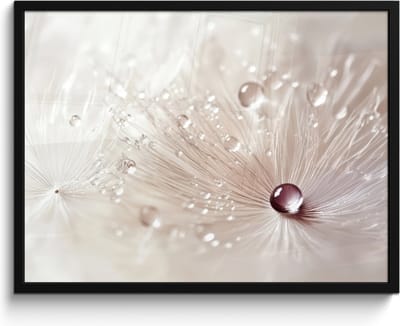 Poster in lijst - Fotolijst 80x60 cm - Posters - Bloem - Abstract - Wit - Water - Natuur - Posterlijst zwart - Decoratie - Wanddecoratie woonkamer - Muurdecoratie slaapkamer