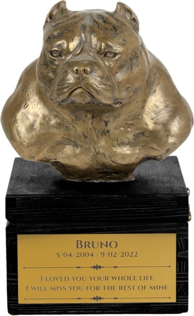 Handgemaakte urn hond American Bully met hondensculptuur en gravure