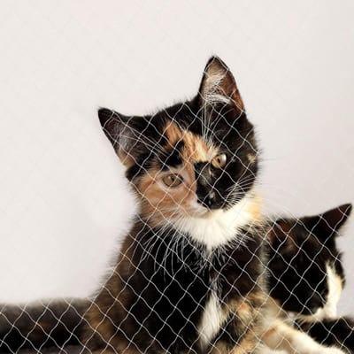 Kattennet - Kattengaas - Kattennet Balkon - Katten Net - Katten Gaas