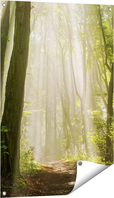 Gards Tuinposter Bos met Bomen en Zonneschijn - 60x90 cm - Tuindoek - Tuindecoratie - Wanddecoratie buiten - Tuinschilderij