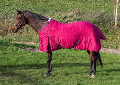 Harry's Horse Staldeken Harry's Horse Highliner 200gr Donkerrood