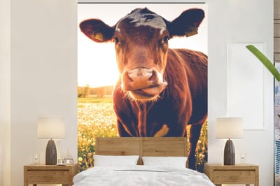 Behang - Fotobehang Koe - Zonsondergang - Bloemen - Gras - Dieren - Breedte 225 cm x hoogte 350 cm