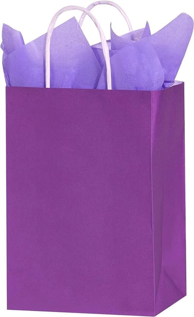 25x Paarse kleine papieren draagtassen met gedraaide handgrepen 18x8x22 cm – Kraft cadeautasjes met handvat / Kraft Tasjes / Zakjes/ Tassen