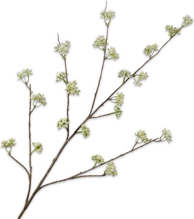 Silk-ka Kunstbloem-Zijden Bloem Dille Tak Crème Lime Groen 115 cm