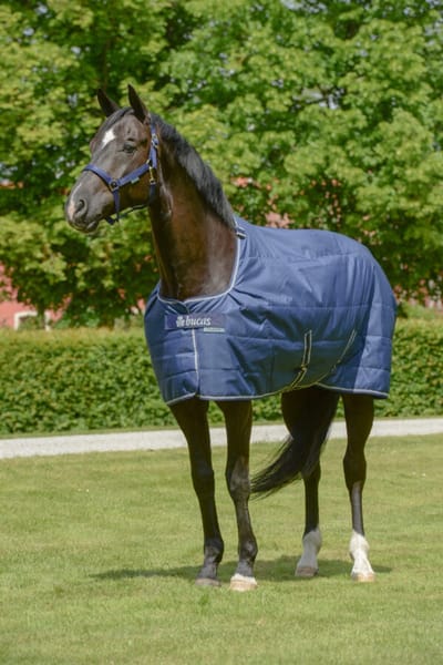 Quilt 300 Dermo-Care 130/175 - Onderdeken