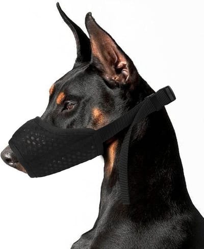 Ademend en Duurzaam Hondenmuilkorf van Nylon, Verstelbaar en Geschikt voor Kleine, Middelgrote en Grote Honden, Voorkomt Eten, Bijten en Kauwen (L, Zwart)