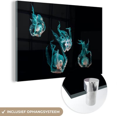 MuchoWow® Glasschilderij 120x80 cm - Schilderij acrylglas - Kwal - Zeedieren - Zwart - Foto op glas - Schilderijen