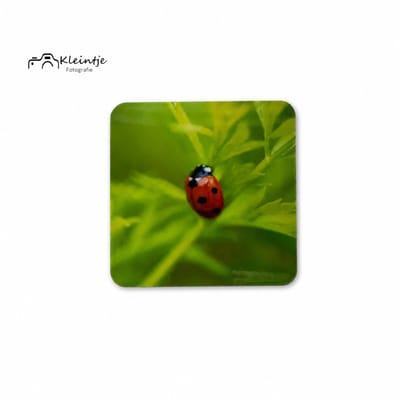Kleintje fotografie Magneet lieveheersbeestje, uniek, ophangen, vierkant , verzameling,magneetbord , koelkastmagneet, grappige, cadeau
