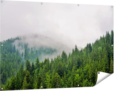 Gards Tuinposter Groen Bos met Bomen tijdens de Mist - 150x100 cm - Tuindoek - Tuindecoratie - Wanddecoratie buiten - Tuinschilderij