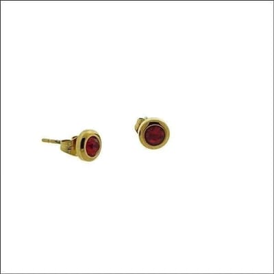 Aramat Jewels | Oorbellen | Stijlvolle Oorbellen met Rode Zirkonia | | | |6mm | Staal | Kinderen, Volwassenen | Verkleurd niet