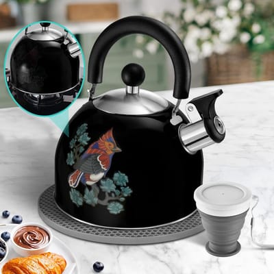 Waterkoker met Fluitje - Theepot Keuken - Thee Zetten - Magisch Kleurverloop - 2 Liter - Zwart