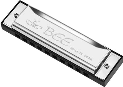 Diatonische Harmonica - 10 Holes, Blau, 20 Melodieën - Speelgoed met Opbergzak voor Beginners en Kinderen - Geweldig Cadeau