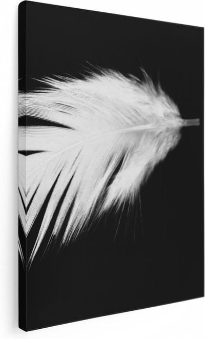 Artaza Canvas Schilderij Veer - 30x40 cm - Klein - Muurdecoratie Stilleven - Wanddecoratie Minimalistisch - Schilderijen Op Canvas