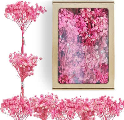 Dried Gypsophila Bloemen voor Bruiloft Decoratie, Mini Decoratie en DIY Projecten - 65 Stuks