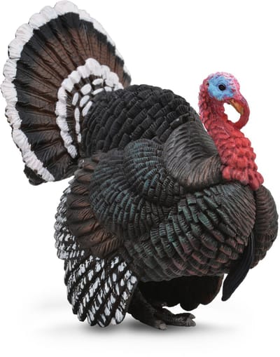 COLLECTA Figurine - Kalkoen - (L) - Boerderijdieren - Handgeschilderd - Miniatuur
