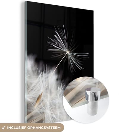 MuchoWow® Glasschilderij 30x40 cm - Schilderij acrylglas - Bloem - Paardenbloem - Plant - Foto op glas - Schilderijen
