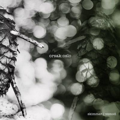 Orsak:Oslo - Skimmer / Vemod (LP)
