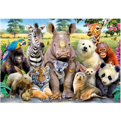 DIY Diamond Painting Dierengroep Panda Tijger Vogel Volledige Dimaond Borduursel 20X30CM gray