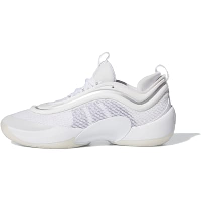 Basketbalschoenen adidas D.O.N. Issue 6
