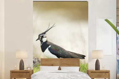Behang - Fotobehang Vogel - Gras - Dieren - Natuur - Kievit - Breedte 225 cm x hoogte 350 cm