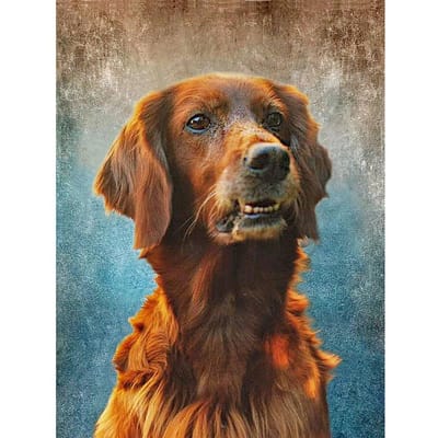 Peinture diamant thème chien Golden Retriever, broderie complète de diamants ronds, images d'animaux en strass 20X30CM black