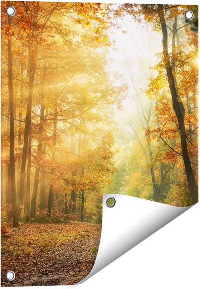 Gards Tuinposter Herfstbos met Zonneschijn - 40x50 cm - Tuindoek - Tuindecoratie - Wanddecoratie buiten - Tuinschilderij